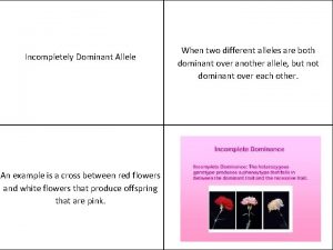 Incompletely Dominant Allele An example is a cross