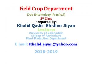 Field Crop Department Crop Entomology Practical 3 rd