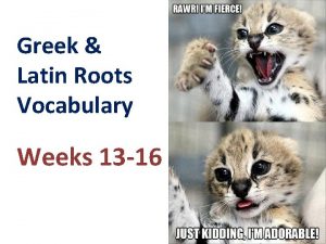 Greek Latin Roots Vocabulary Weeks 13 16 Week