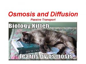 Osmosis and Diffusion Passive Transport Osmosis and Diffusion