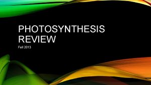 PHOTOSYNTHESIS REVIEW Fall 2013 WHERE DOES PHOTOSYNTHESIS OCCUR
