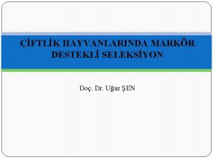 FTLK HAYVANLARINDA MARKR DESTEKL SELEKSYON Do Dr Uur