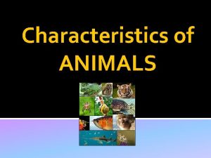 Characteristics of ANIMALS ALL Animals are Belong to