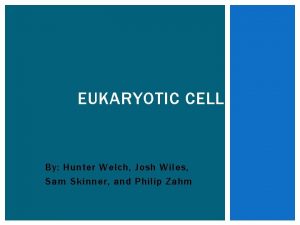 EUKARYOTIC CELL By Hunter Welch Josh Wiles Sam