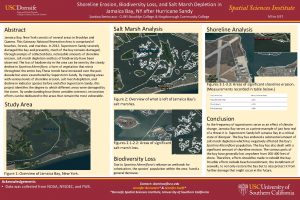 Shoreline Erosion Biodiversity Loss and Salt Marsh Depletion