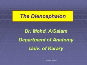 The Diencephalon Dr Mohd ASalam Department of Anatomy