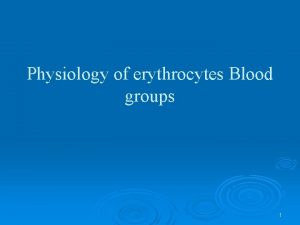 Physiology of erythrocytes Blood groups 1 Blood Cells
