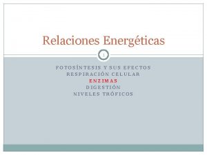 Relaciones Energticas 1 FOTOSNTESIS Y SUS EFECTOS RESPIRACIN