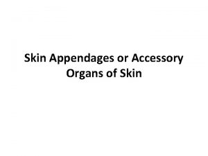 Skin Appendages or Accessory Organs of Skin Skin