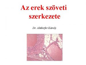 Az erek szveti szerkezete Dr Altdorfer Kroly I