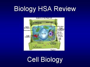 Biology HSA Review Cell Biology The movement of
