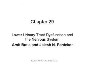 Chapter 29 Lower Urinary Tract Dysfunction and the