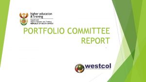 PORTFOLIO COMMITTEE REPORT GOVERNANCE GOVERNANCE Council 5 Ministerial