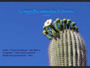 La magnfica naturaleza de Arizona 1 era parte