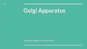 Golgi Apparatus Tailianni Kinikini Cristina Novac Structure The