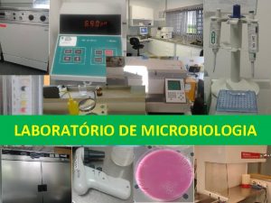 LABORATRIO DE MICROBIOLOGIA Laboratrio de Microbiologia Anlise microbilgica