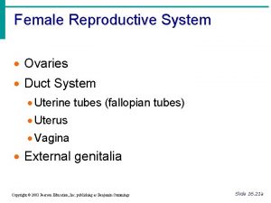 Female Reproductive System Ovaries Duct System Uterine tubes