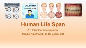 Human Life Span A 1 Physical development Middle