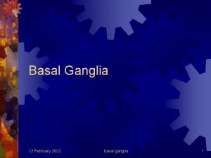 Basal Ganglia 12 February 2022 basal ganglia 1