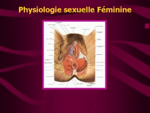 Physiologie sexuelle Fminine Lintrication entre lanatomo physiologie et