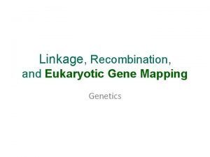 Linkage Recombination and Eukaryotic Gene Mapping Genetics Calculating