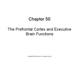 Chapter 50 The Prefrontal Cortex and Executive Brain