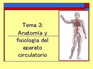 Tema 3 Anatoma y fisiologa del aparato circulatorio