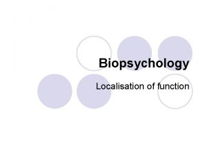 Biopsychology Localisation of function The human brain l