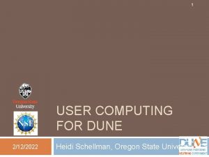 1 USER COMPUTING FOR DUNE 2122022 Heidi Schellman