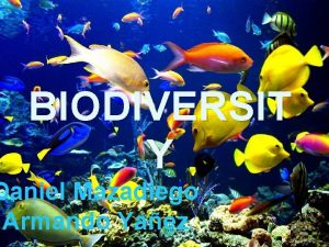 BIODIVERSIT Y Daniel Mazadiego Armando Yaez VALUE OF