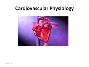 Cardiovascular Physiology 12022022 1 Cardiovascular system CVS CVS