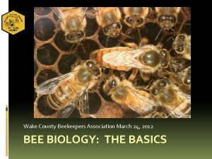 Wake County Beekeepers Association March 24 2012 BEE