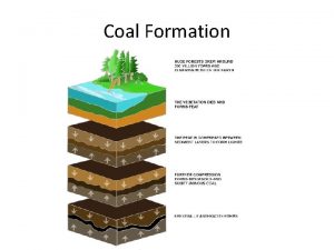 Coal Formation Coal types Peat Youngest form of