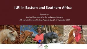 ILRI in Eastern and Southern Africa Amos Omore