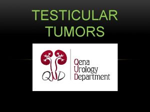 TESTICULAR TUMORS INCIDENCE Testicular tumors are rare 1