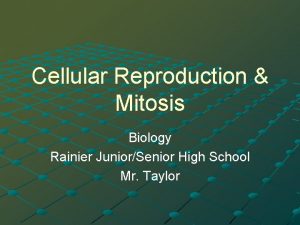 Cellular Reproduction Mitosis Biology Rainier JuniorSenior High School