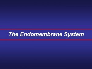 The Endomembrane System The Endomembrane System A series