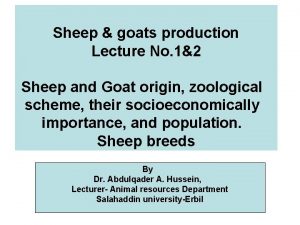 Sheep goats production Lecture No 12 Sheep and