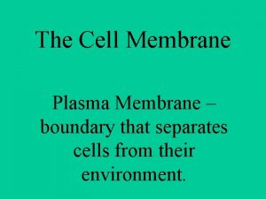 The Cell Membrane Plasma Membrane boundary that separates