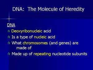 DNA The Molecule of Heredity DNA Deoxyribonucleic acid