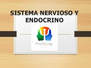 SISTEMA NERVIOSO Y ENDOCRINO SISTEMA NERVIOSO Controla y