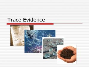 Trace Evidence Locards Exchange Principle Edmond Locard developed
