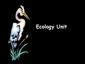 Ecology Unit What is ecology Ecologythe scientific study