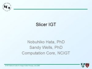 Slicer IGT Nobuhiko Hata Ph D Sandy Wells