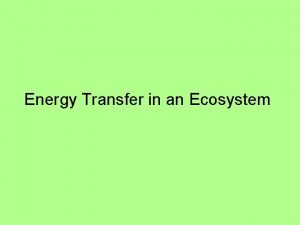 Energy Transfer in an Ecosystem The ultimate source