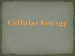 Cellular Energy Cellular Energy Every organism must be