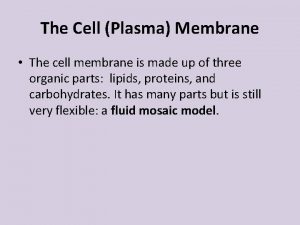 The Cell Plasma Membrane The cell membrane is