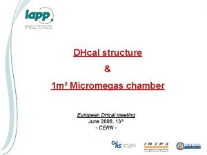 DHcal structure 1 m Micromegas chamber European DHcal