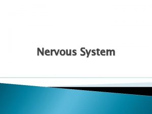 Nervous System Anatomical Nerves Neuron A stimulus excites