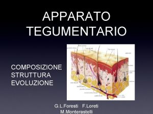 APPARATO TEGUMENTARIO COMPOSIZIONE STRUTTURA EVOLUZIONE G L Foresti